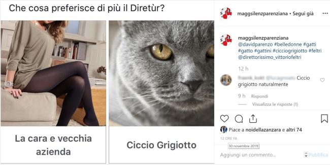 Maggioranza Silenziosa Parenziana