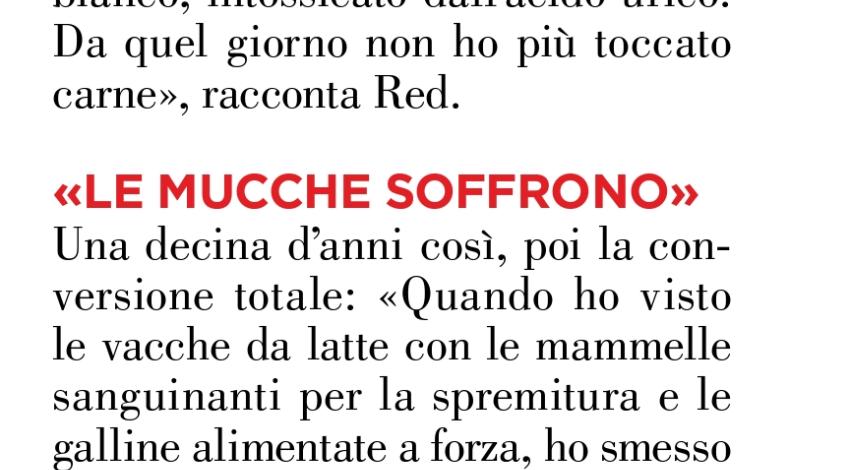 Oggi